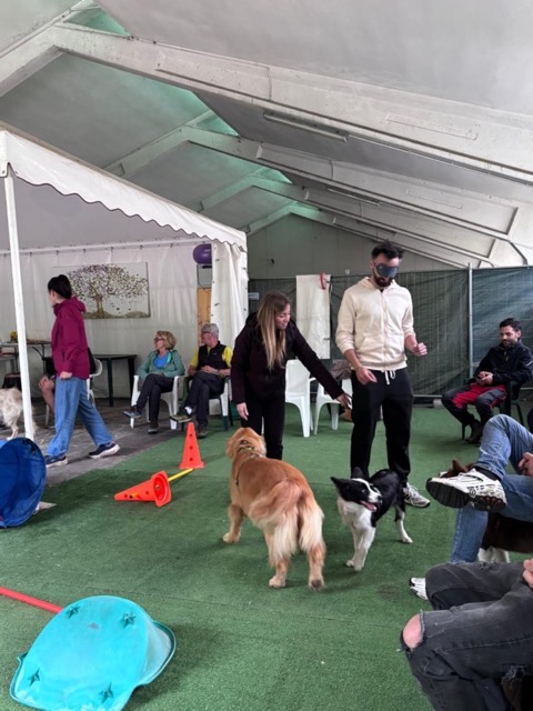Essere cane per un giorno – seminario al Bosco di Gio, foto 1