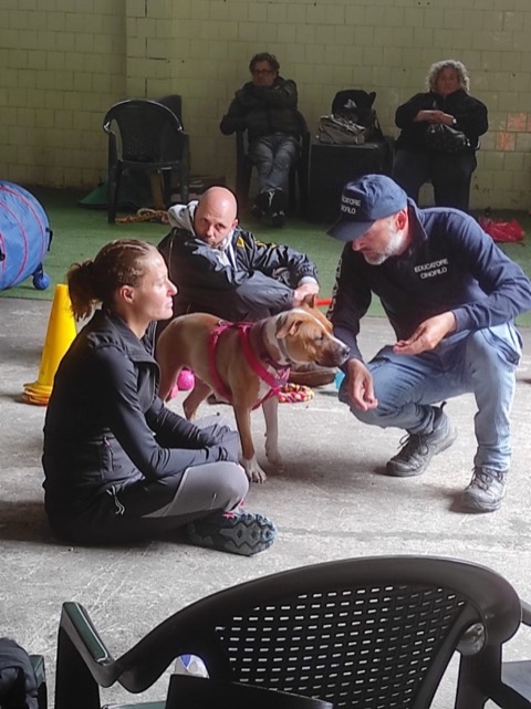 Essere cane per un giorno – seminario al Bosco di Gio, foto 2