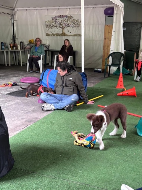 Essere cane per un giorno – seminario al Bosco di Gio, foto 3
