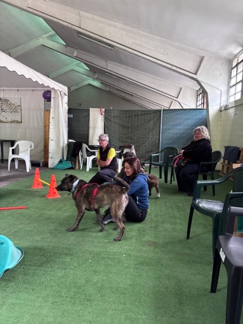 Essere cane per un giorno – seminario al Bosco di Gio, foto 6