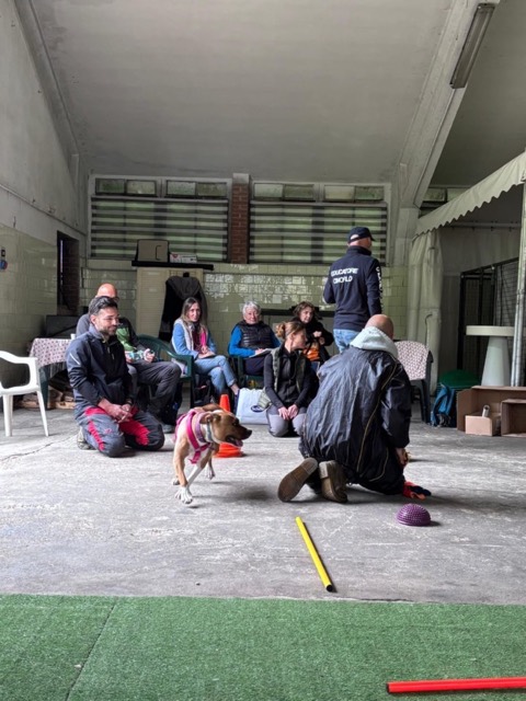 Essere cane per un giorno – seminario al Bosco di Gio, foto 7
