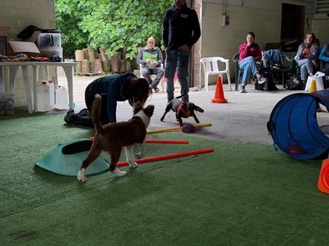 Essere cane per un giorno – seminario al Bosco di Gio, foto 10