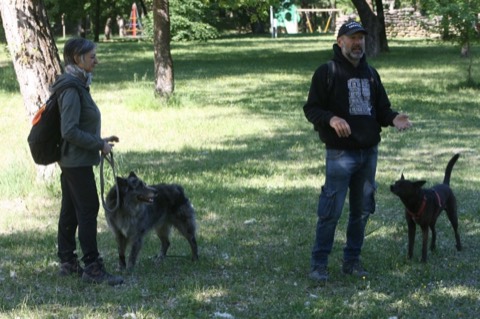 Essere cane per un giorno – passeggiata sociale e classi, foto 2