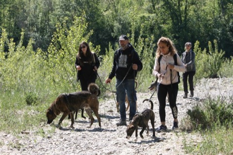 Essere cane per un giorno – passeggiata sociale e classi, foto 10