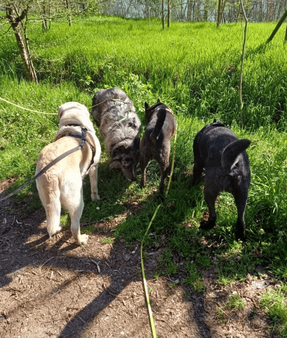 Instagram Christian Furia