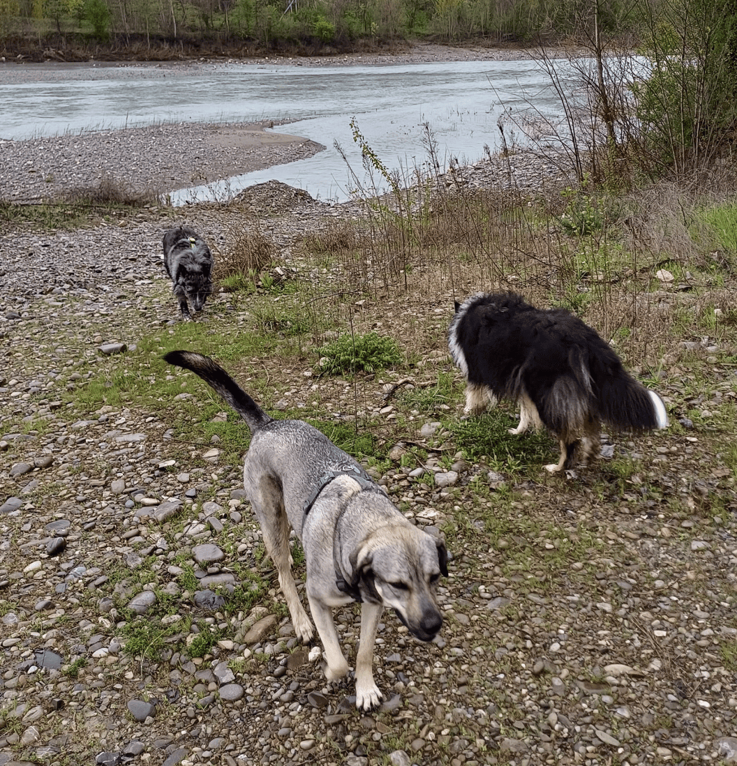 Instagram Christian Furia