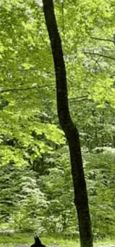 Instagram Christian Furia