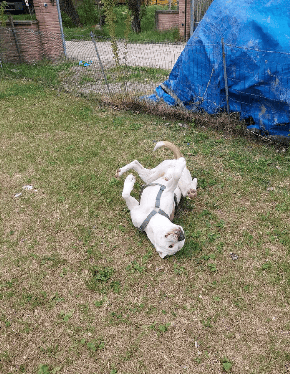 Instagram Christian Furia