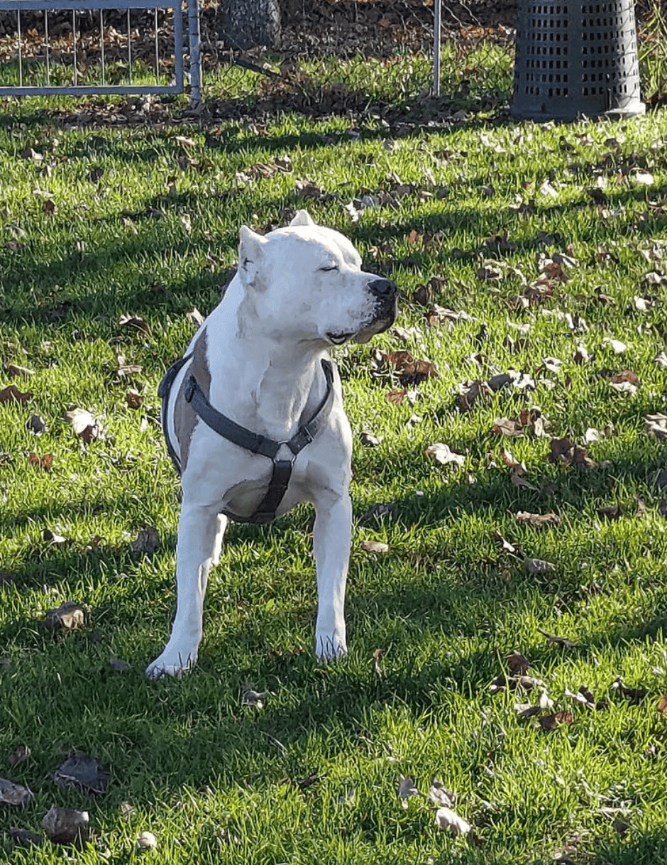 Instagram Christian Furia