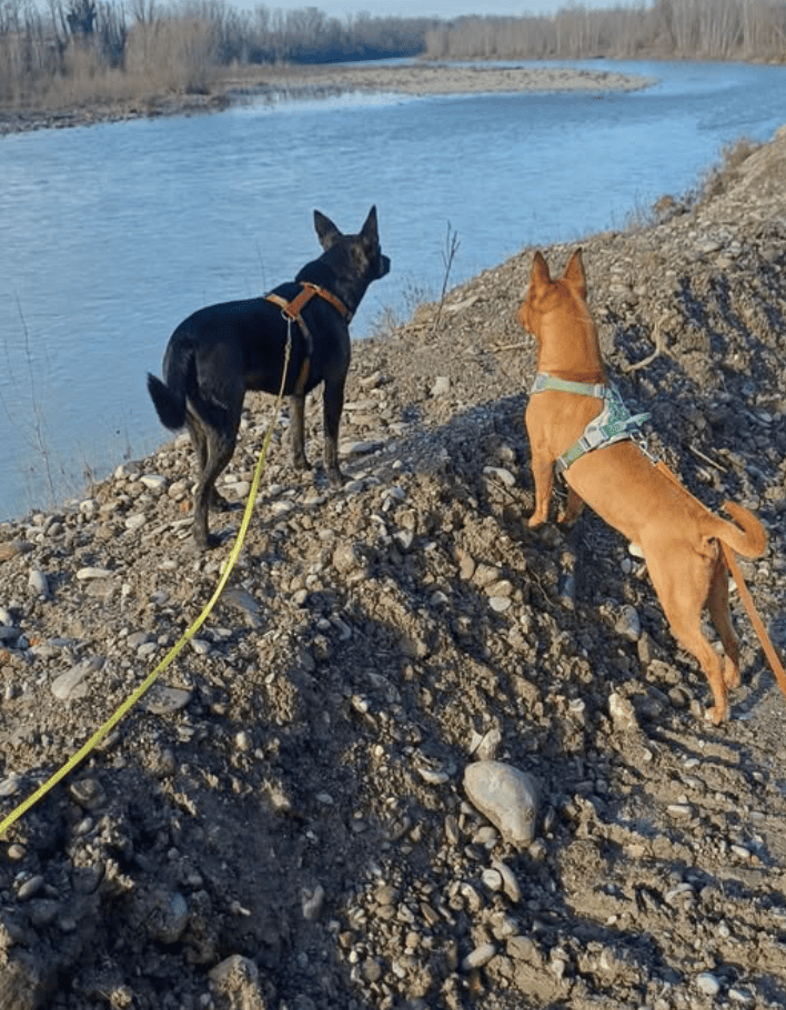 Instagram Christian Furia