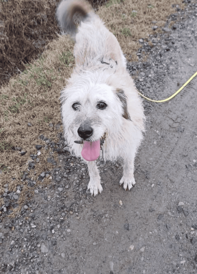 Instagram Christian Furia