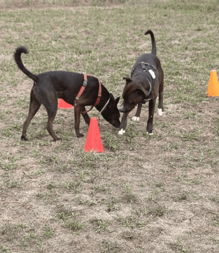 Instagram Christian Furia